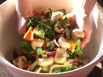 StirringVeggies
