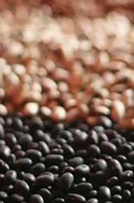 beans2