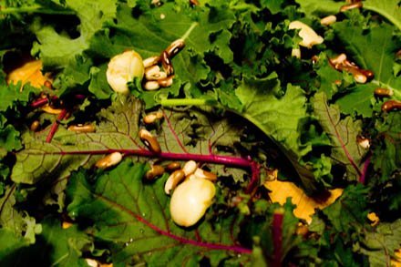 kale-garlic.JPG
