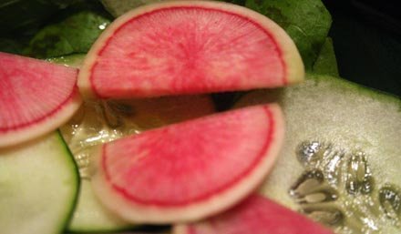 chinese-radish.jpg