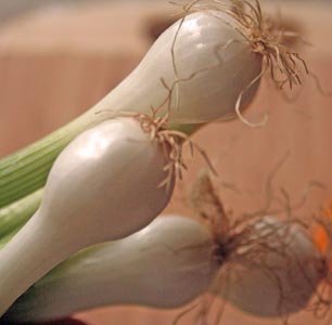 spring-onion.jpg