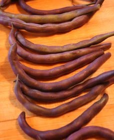beans.jpg