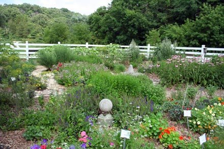 edible-landscape.jpg