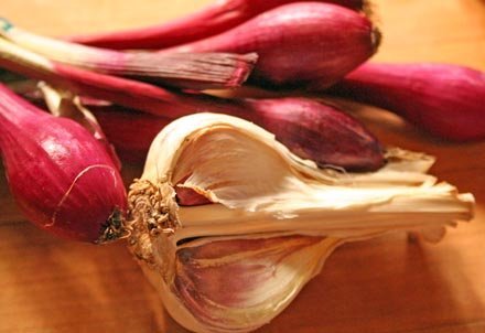 inchelium-garlic.jpg