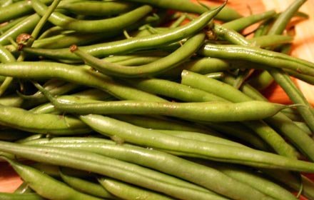 blue-lake-beans.jpg