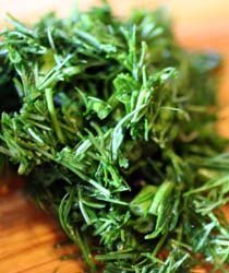 dill1