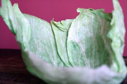 iceberg-leaf