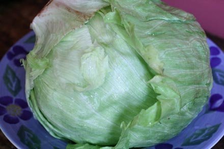iceberg4