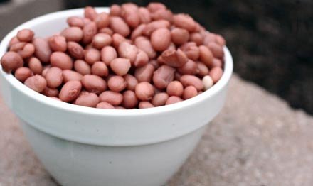 bowl-of-beans
