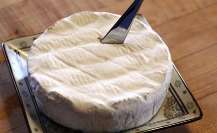 camembert