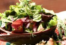 tarragon-dill-salad-half