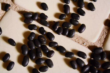 ayocote negro