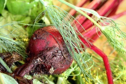 beets and dill