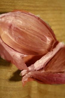 inchelium red garlic tall half