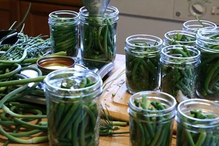 packed scapes(2)