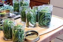 pickling scapes half