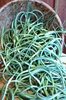 scapes in bowl vertical