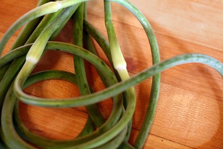 scapes