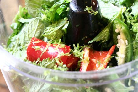 chutney food proc